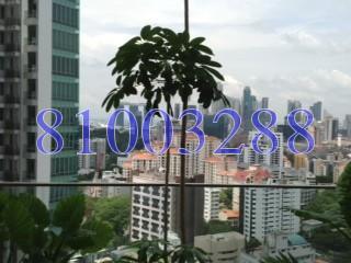 Espada (D9), Apartment #171310232